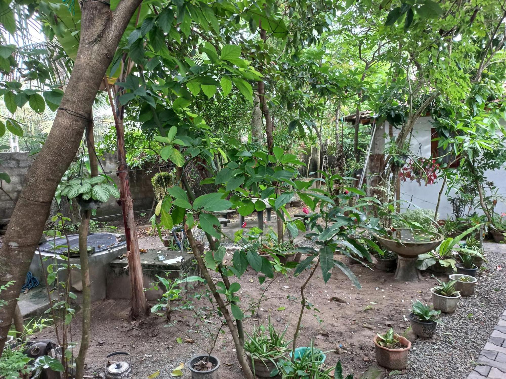 Mango Villa 703 希克杜沃 外观 照片